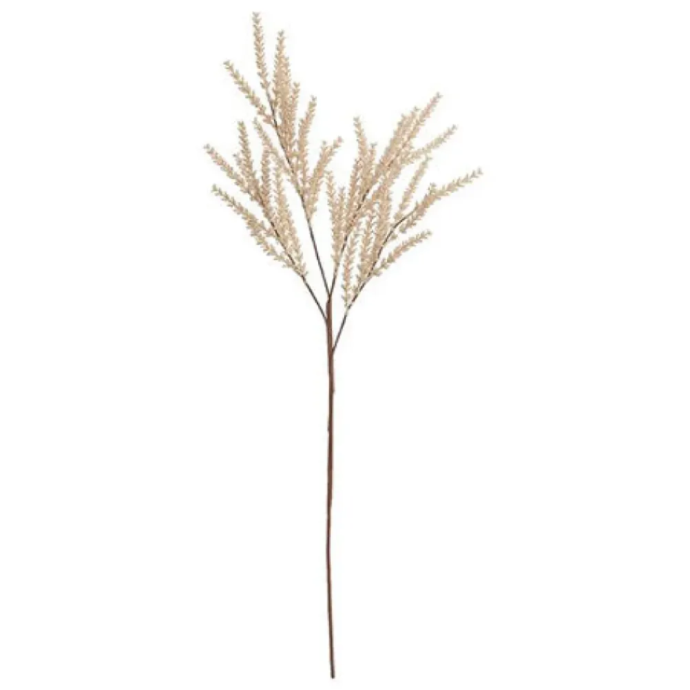 BUNGALOW Oat Branch Creme