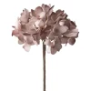 C'EST BON Hortenzia Misty Rose H68