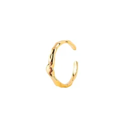 HOUSE OF VINCENT Manifestation Ring