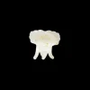 MAANESTEN Pasha Hair Claw Shell