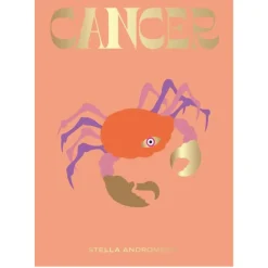 NEW MAGS Book Cancer