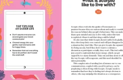 NEW MAGS Book Scorpio