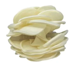 PICO COPENHAGEN Giant Satin Rose Claw Ivory