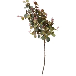 SPEEDTSBERG 225038 Eukalyptus