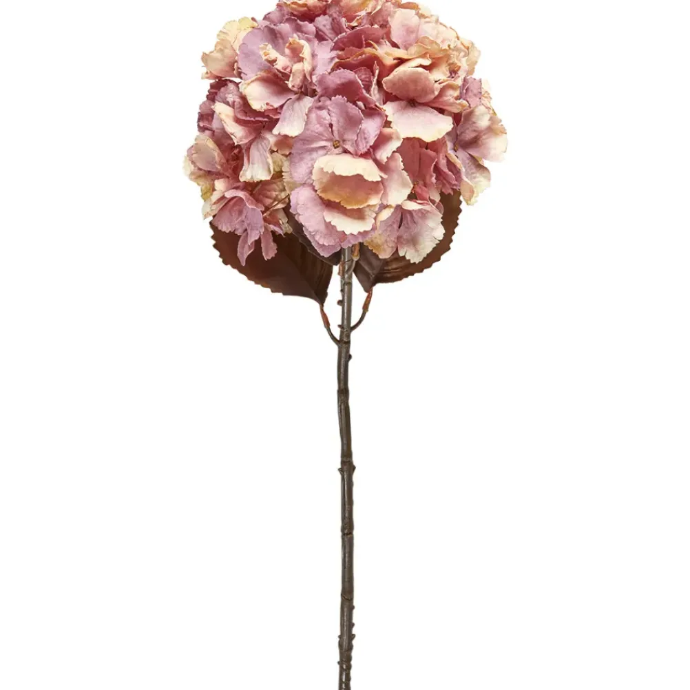 SPEEDTSBERG 235060 Hortensia