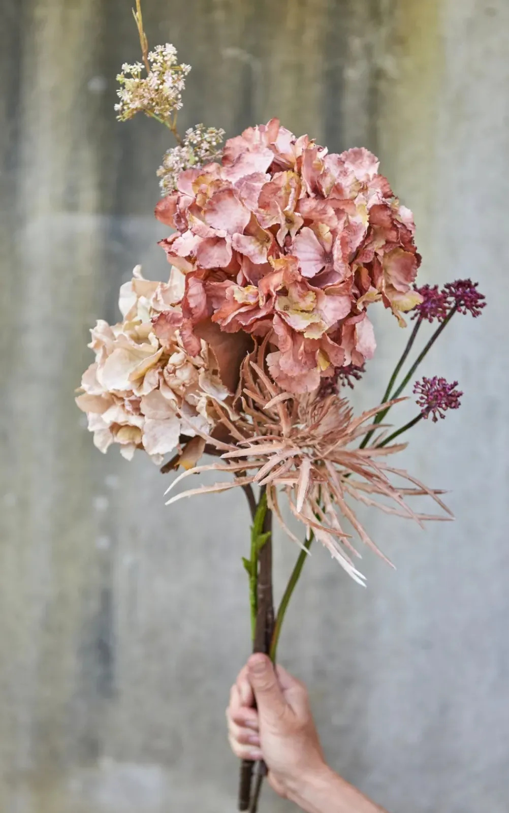 SPEEDTSBERG 204963 Hortensia
