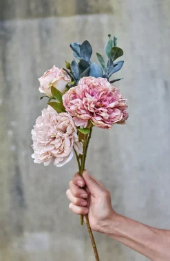 SPEEDTSBERG 204933 Rose