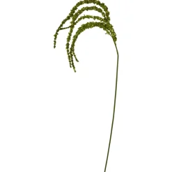 SPEEDTSBERG 235081 Rævehale Green