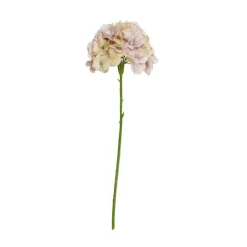 SPEEDTSBERG Hortensia Stilk 215069 Rose