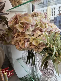 SPEEDTSBERG Hortensia Stilk 215069 Rose